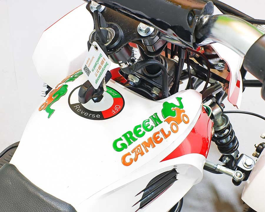 Квадроцикл GreenCamel Гоби K12 (24V 350W R4 Цепной привод) уценка по пластику