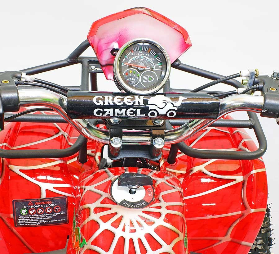 Квадроцикл GreenCamel Гоби K21 (36V 800W R6 Цепь) уценка