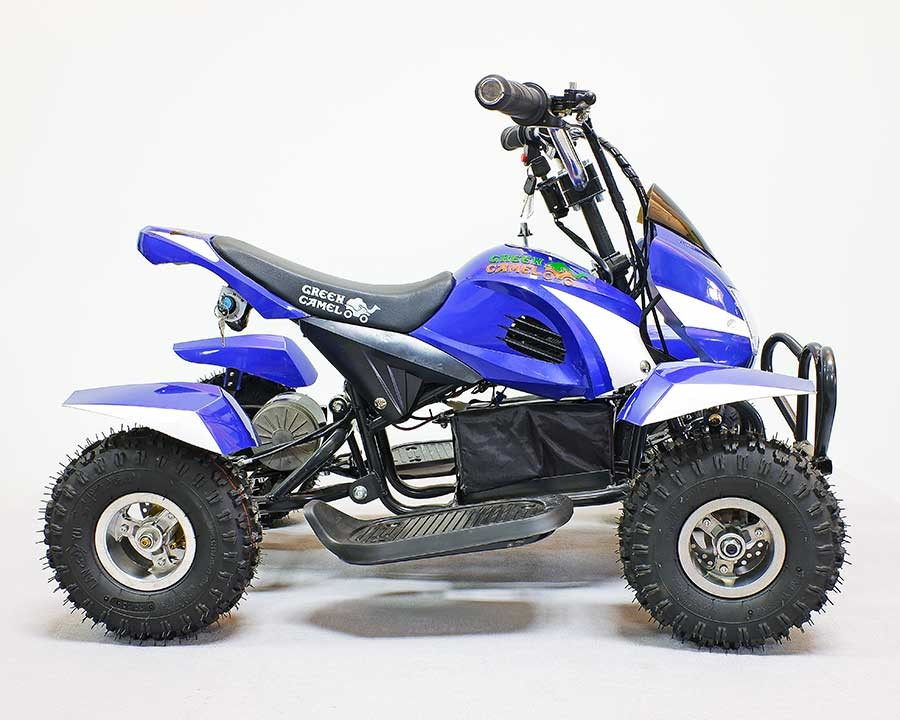 Квадроцикл GreenCamel Гоби K12 (24V 350W R4 Цепной привод) уценка по пластику