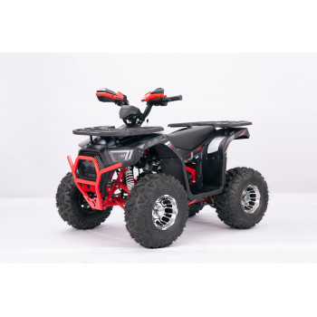 Квадроцикл YACOTA SIRIUS 125 LD
