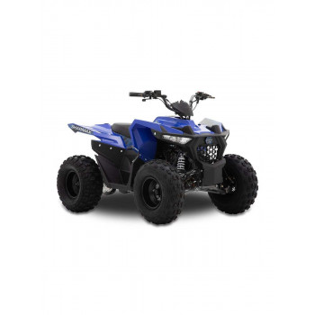 Квадроцикл Sharmax 200CC CROSS