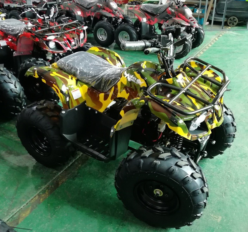 Квадроцикл GreenCamel Атакама T120 (48V 800W R8 Цепь)