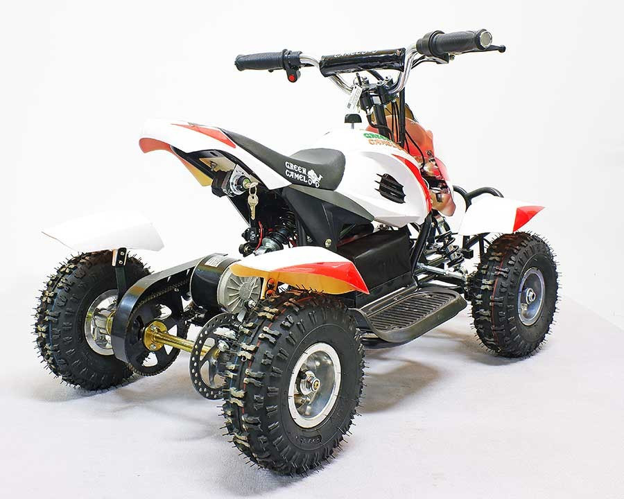 Квадроцикл GreenCamel Гоби K12 (24V 350W R4 Цепной привод) уценка по пластику